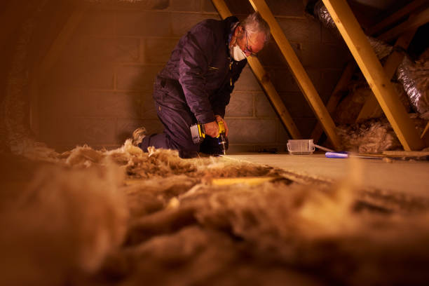 Best Residential Insulation in Erin, TN